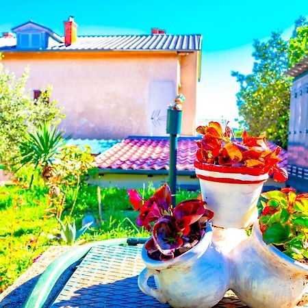 Vacation Home Grill & Chill With 350M2 Garden With Bbq Нови-Винодолски Экстерьер фото